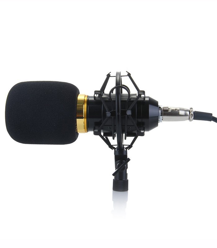 BM-800 Microphone professionnel USB avec carte son 3D Stereo integré et Mont Shock