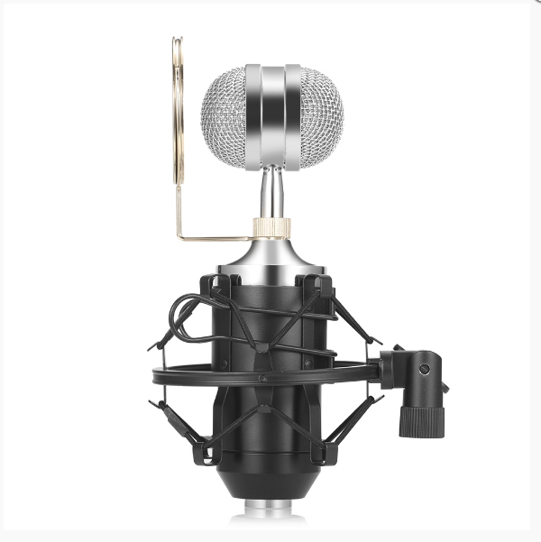 Microphone A Condensateur Unidirectionnel BM 8000 Noir, avec un Amortisseur Métal