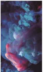 (Size:S; Pack 10) Back film ROCKSKIN - Fog