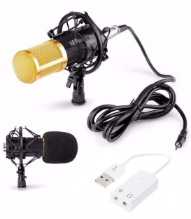 BM-800 Microphone professionnel USB